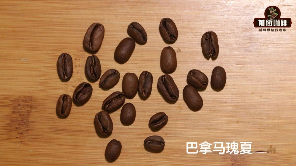 巴拿马瑰夏豆 巴拿马瑰夏豆
