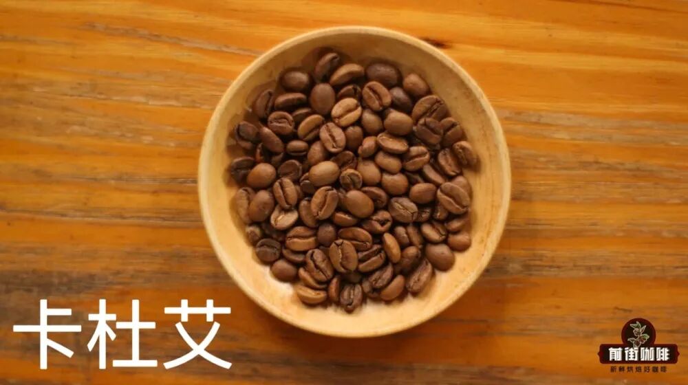 卡杜艾1 卡杜艾1