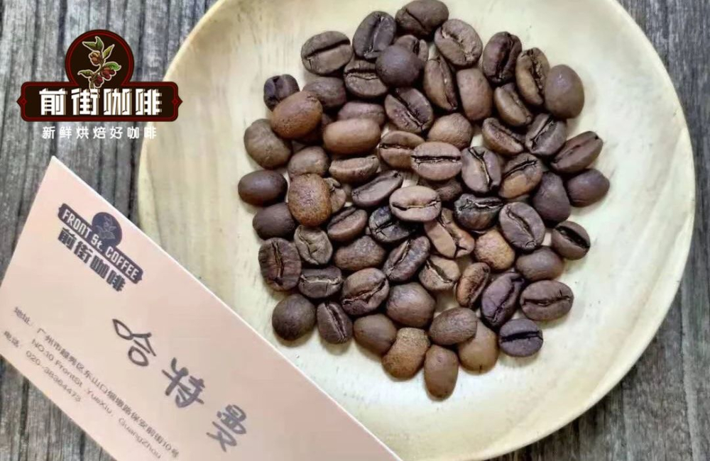 哈特曼红酒日晒卡杜艾92
