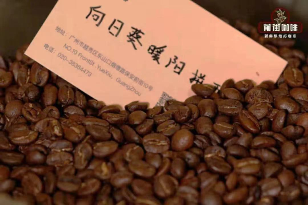暖阳