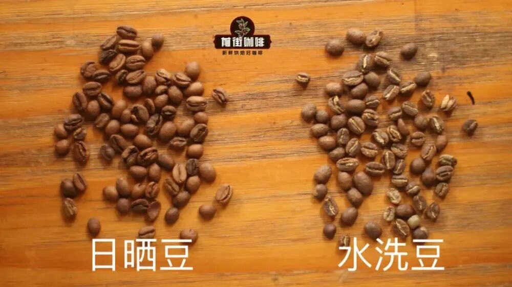 埃塞原生种