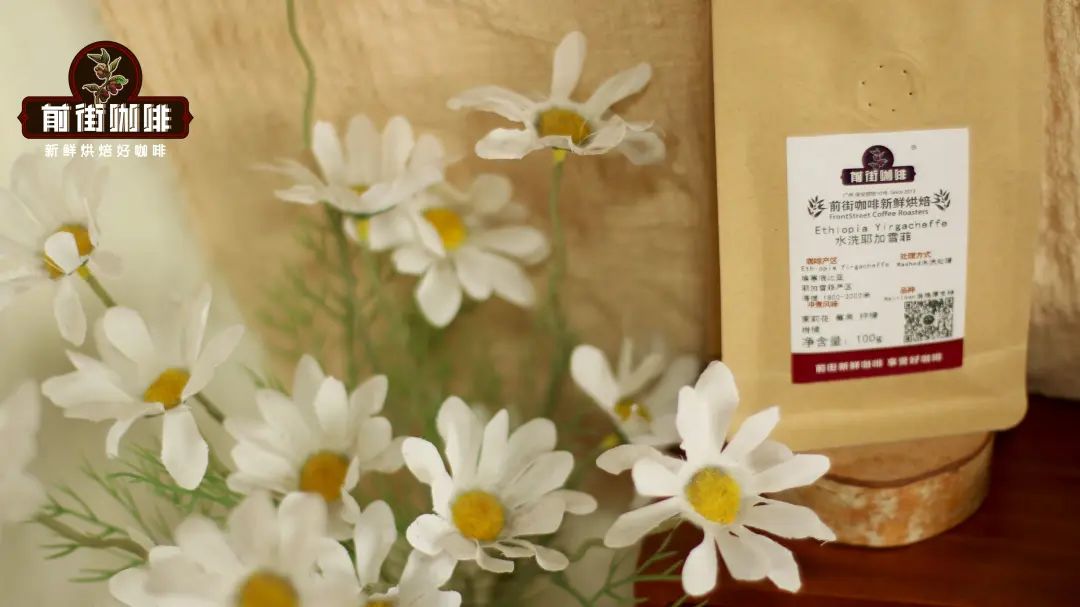 水洗耶加雪菲_8101