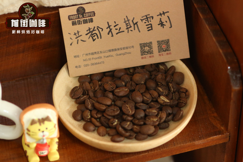 洪都拉斯雪莉咖啡豆 洪都拉斯雪莉咖啡豆