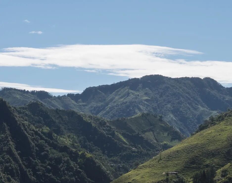 narino