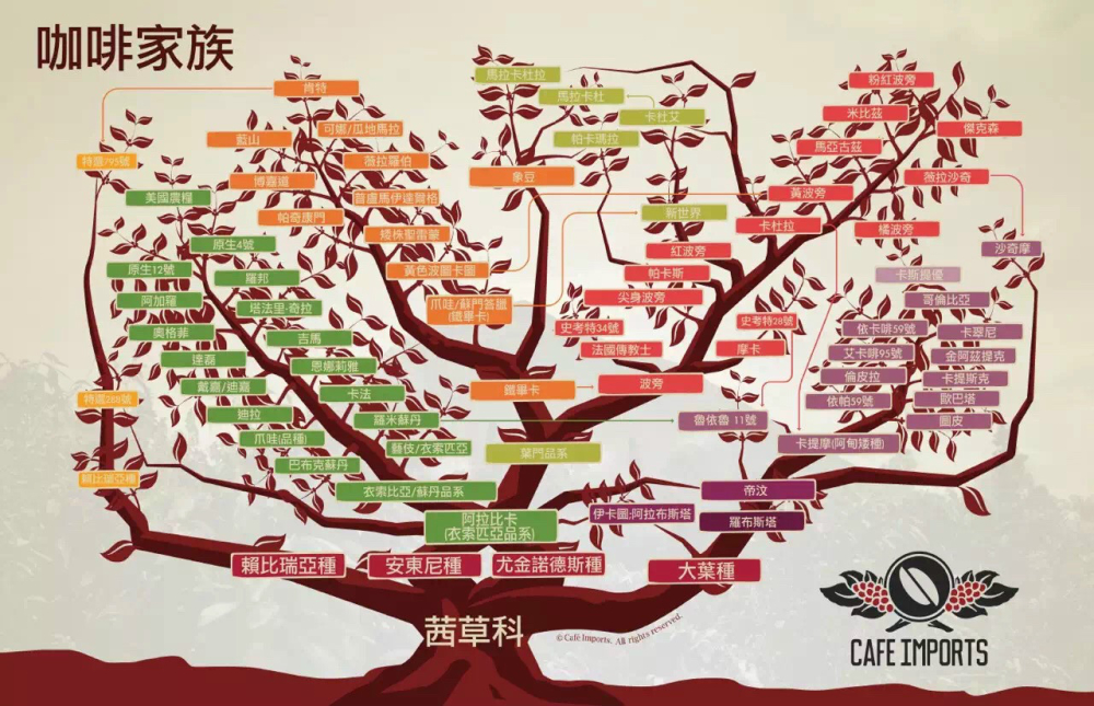 品种关系图、 品种关系图、