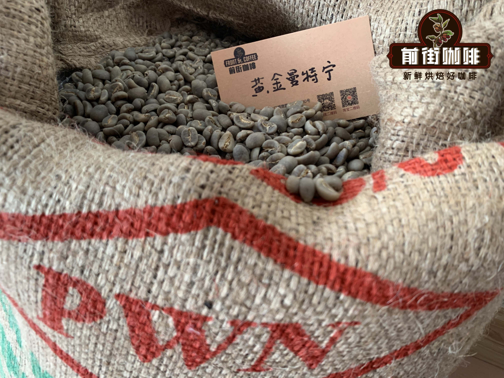 黄曼生豆F3 黄曼生豆F3