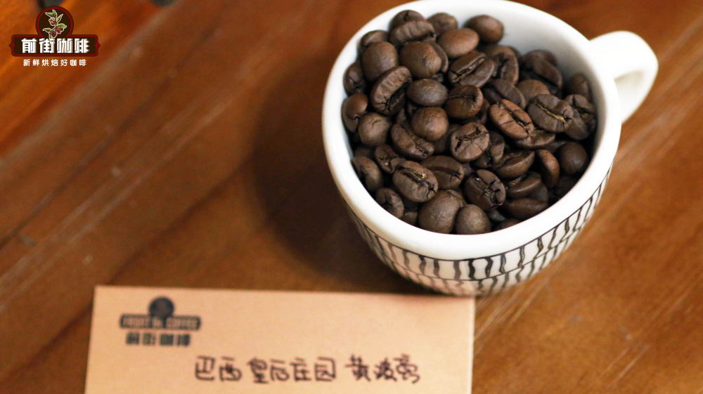 巴西皇后