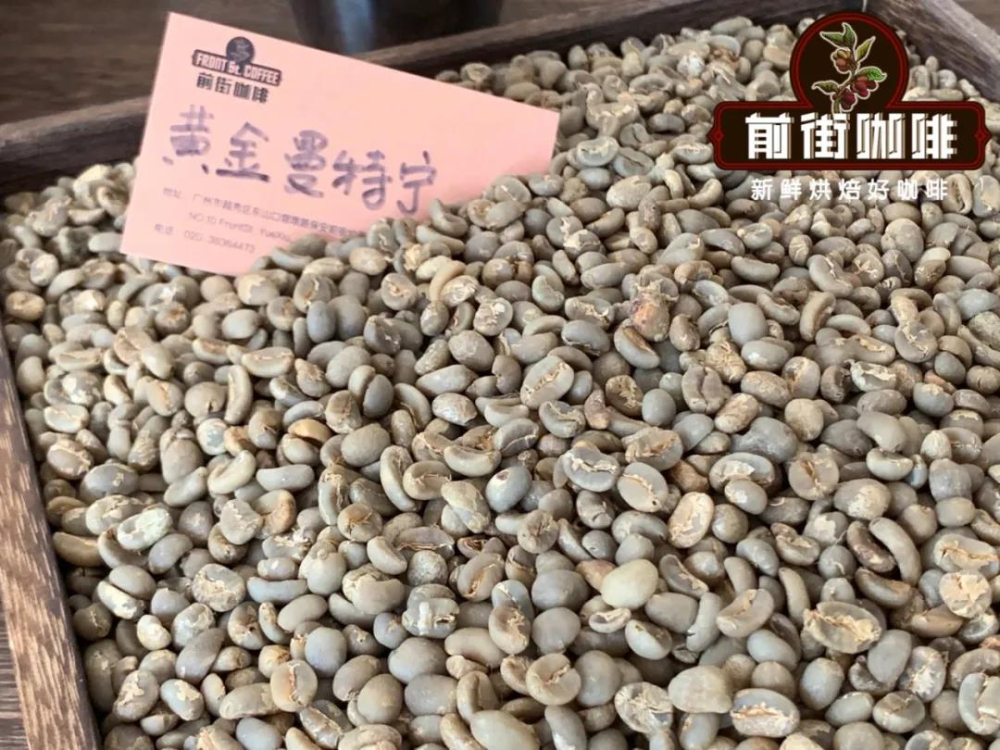 黄金曼特宁生豆2