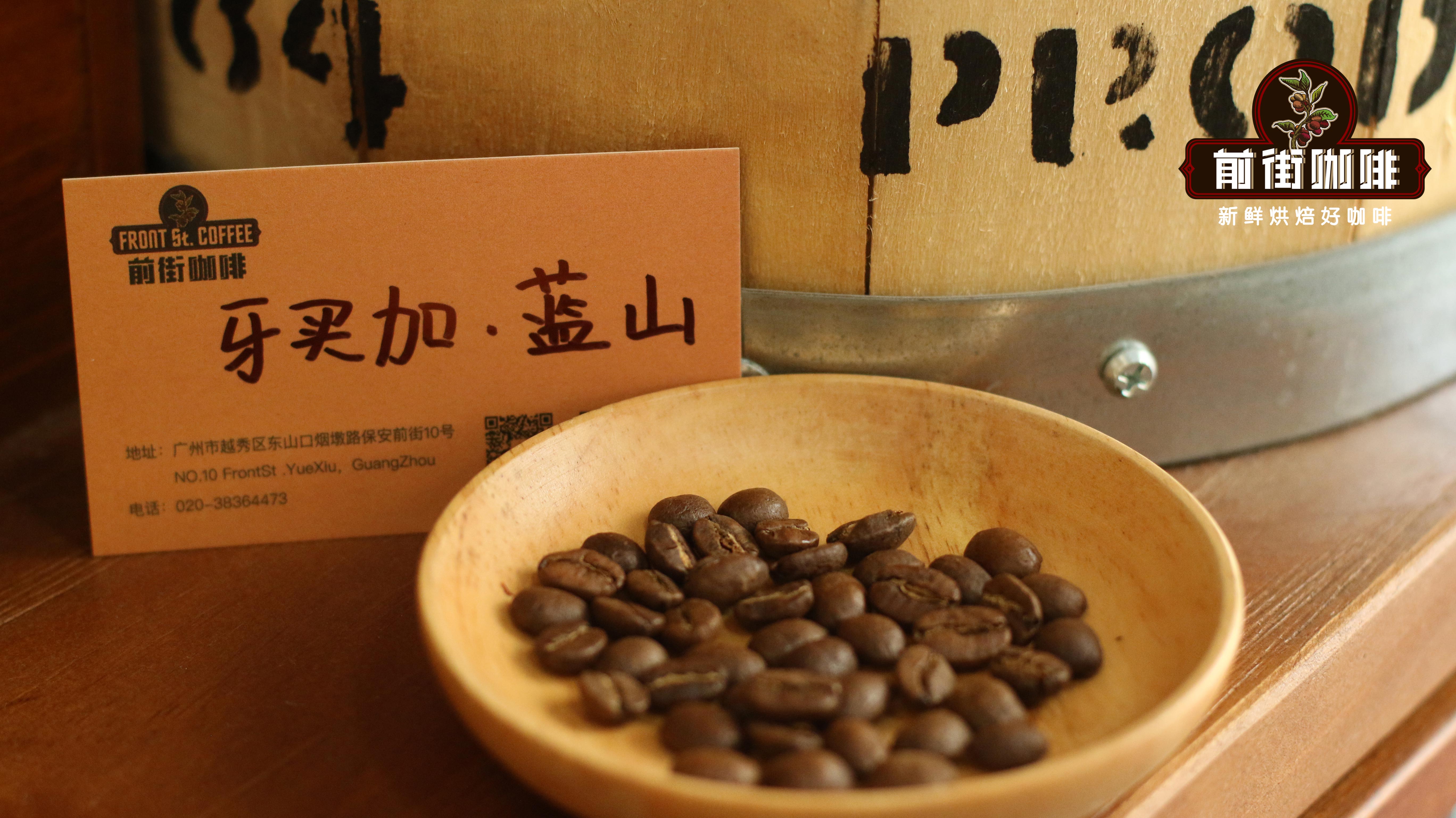 蓝山咖啡豆档次｜正宗蓝山一号咖啡豆价格贵吗？牙买加蓝山咖啡风味口感特点研磨度水温参数 