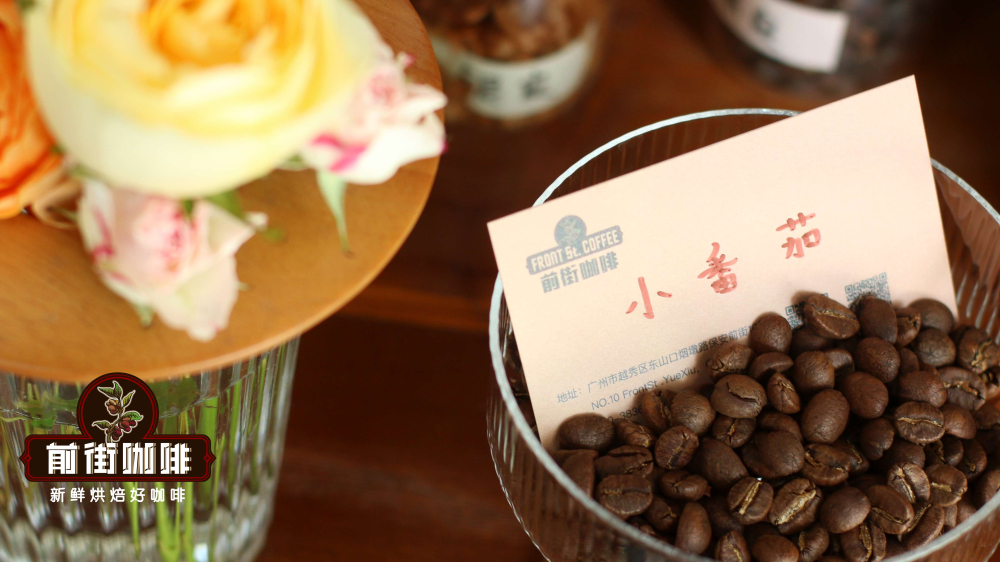 肯尼亚小番茄0397 肯尼亚小番茄0397