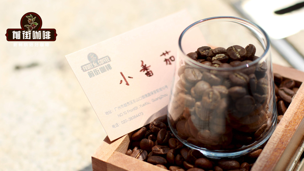 肯尼亚 小番茄0418