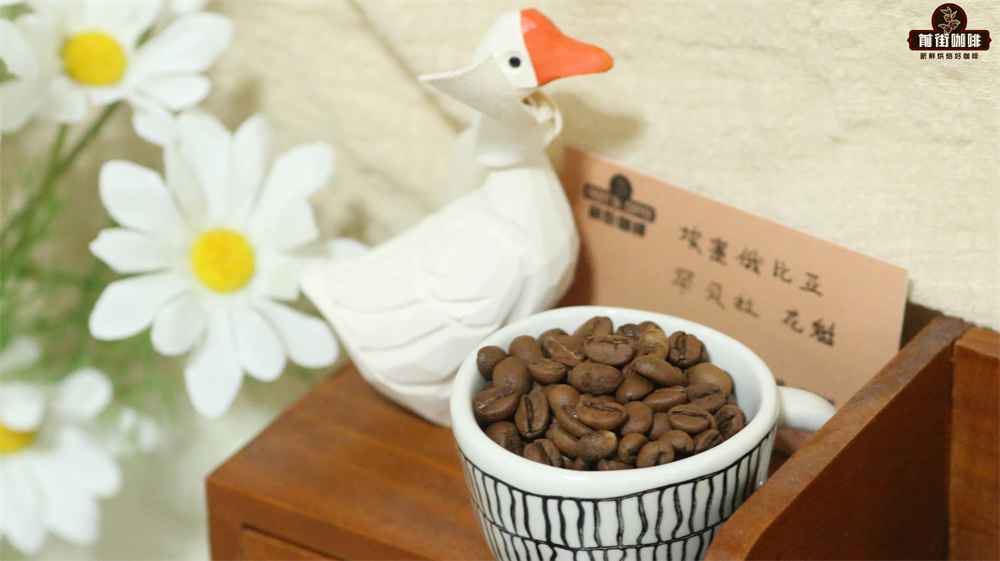 花魁65bf1ec5 花魁65bf1ec5
