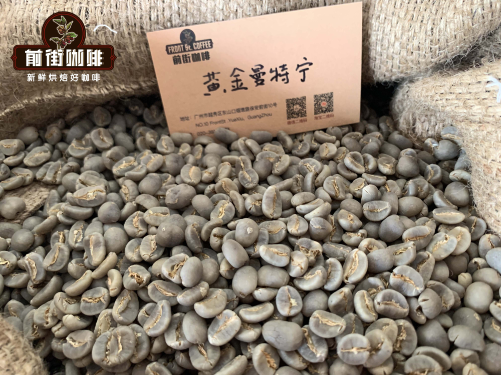黄曼生豆2261 黄曼生豆2261