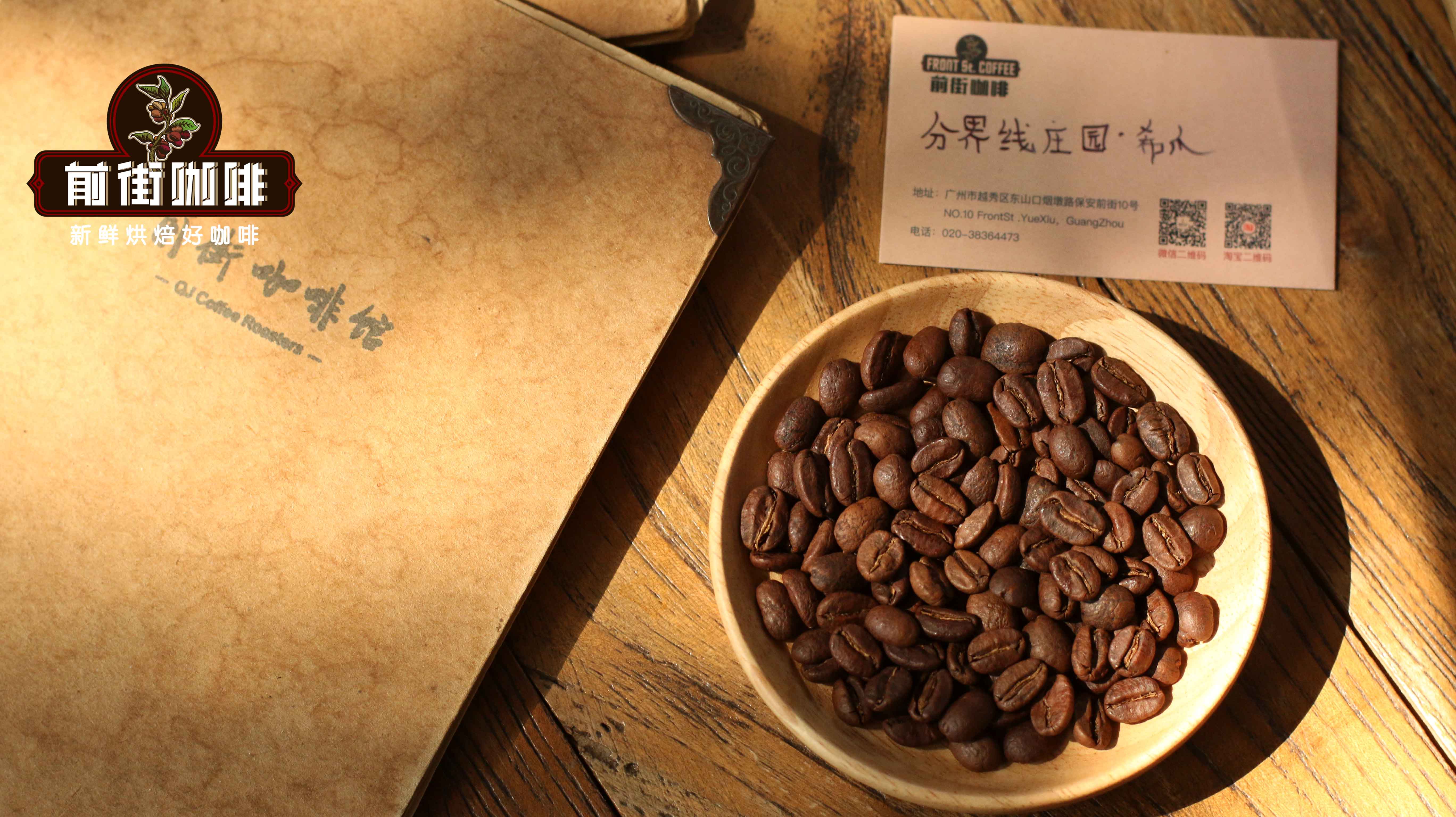 希爪4956