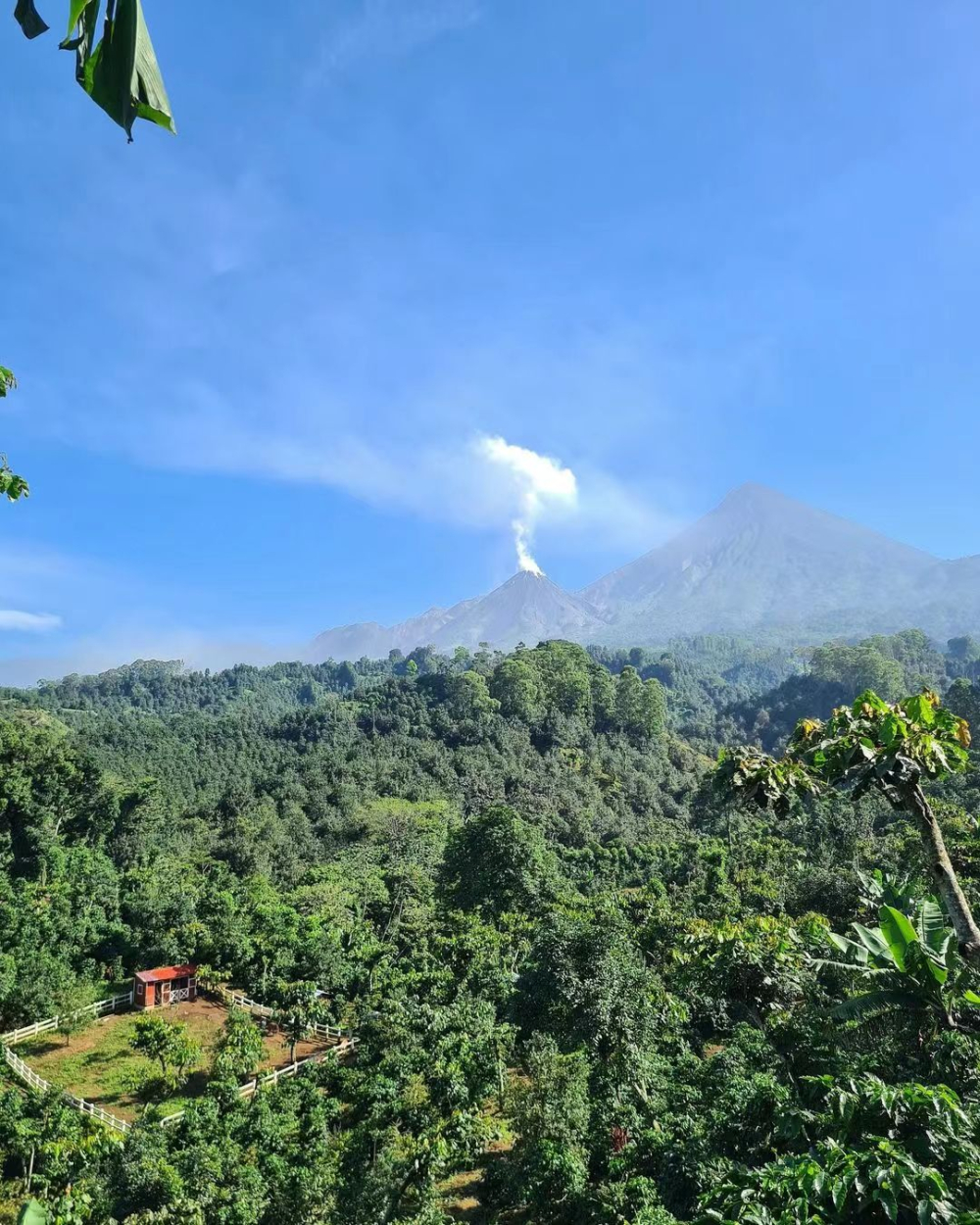 巴拿马 波奎特 火山3cbd9 巴拿马 波奎特 火山3cbd9