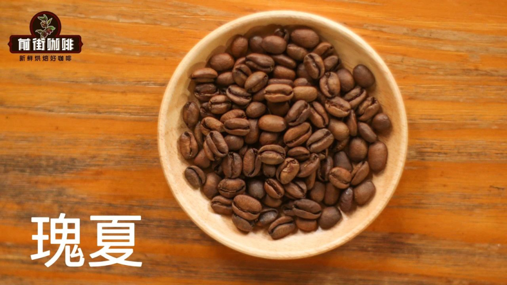 瑰夏咖啡豆69 瑰夏咖啡豆69
