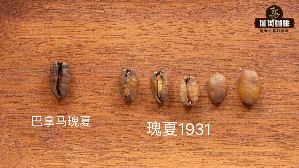 巴拿马瑰夏和1931