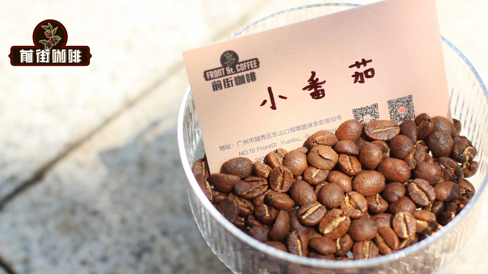 小番茄408