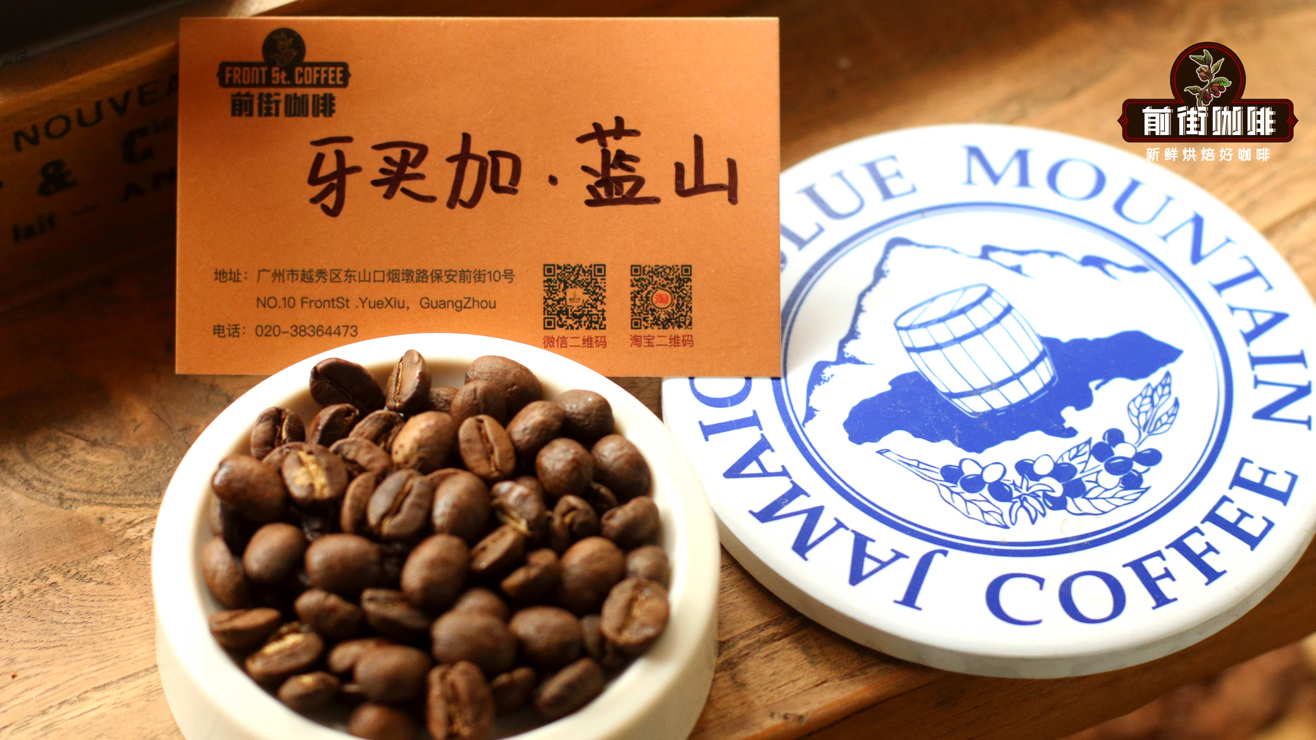 牙买加蓝山6629
