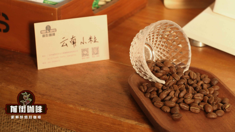 云南小粒537