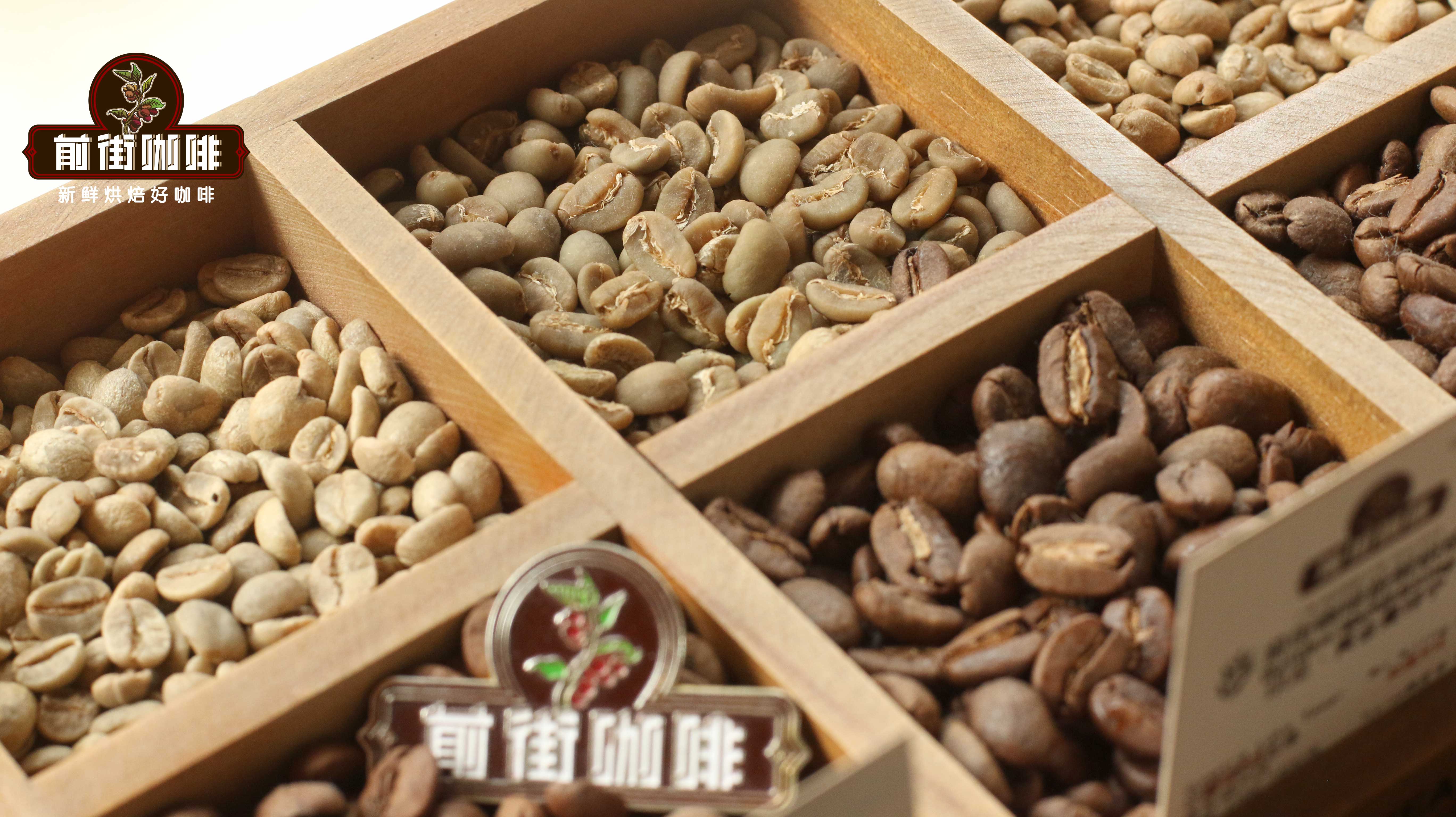 曼特宁生豆对比图69