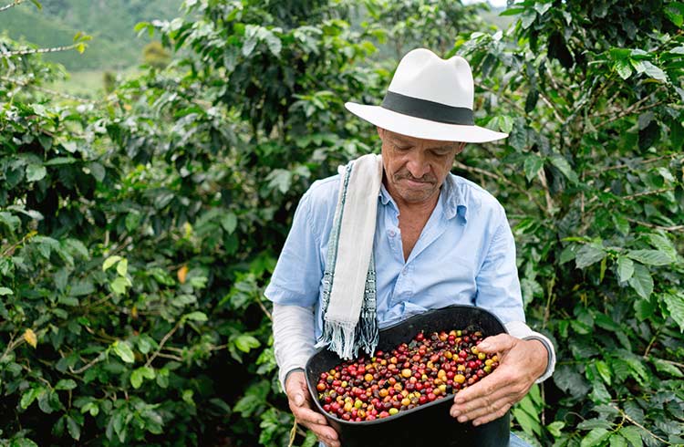 colombian-coffee