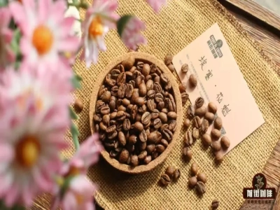 埃塞西达摩日晒花魁｜咖啡单品豆花魁/瑰夏/艺伎是同个咖啡品种吗？花魁和Geisha有何区别？