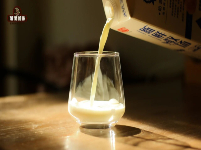 奶萃咖啡制作比例浓度调整 牛奶泡咖啡粉萃取时间 黄金曼特宁咖啡泡冷牛奶味道好喝吗