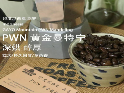 精选印尼曼特宁｜品质最好的曼特宁手冲豆是黄金曼特宁吗？摩卡壶新手友好的中深烘咖啡单品豆推荐