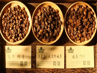 Gesha village咖啡等级｜埃塞俄比亚瑰夏村金标和红标咖啡风味口感有何区别？