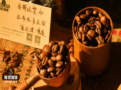 哥斯达黎加咖啡豆品种风味口感介绍 如何手冲蜜处理的SHB极硬咖啡豆？