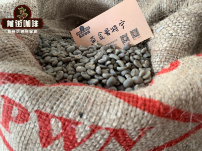 曼特宁手冲咖啡参数｜什么是黄金曼特宁？黄金曼特宁咖啡豆有啥风味口感特点？怎么辨认正宗PWN黄金曼特宁？ 