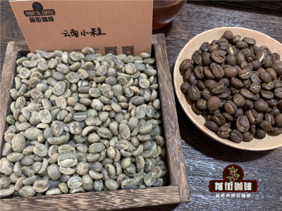 云南咖啡风味｜云南铁皮卡和卡蒂姆小粒咖啡风味口感有何区别？推荐好喝不贵的云南精品手冲咖啡豆