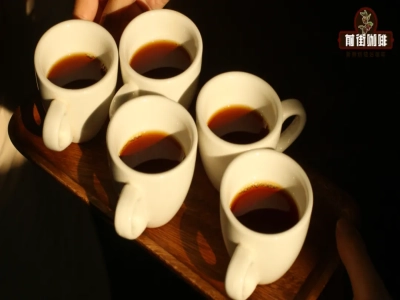 罗布斯塔咖啡豆品种特点是什么？罗布斯塔咖啡豆口感让人难以下咽吗？越南是罗豆最大生产国吗？