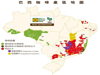 巴西咖啡主要产区｜巴西咖啡生豆分级标准是什么？巴西咖啡豆口感如何描述？