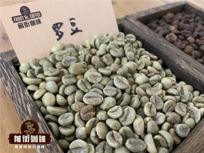 咖啡三大品种阿拉比卡、罗布斯塔、利比利卡分类 为什么罗布斯塔比普通阿拉比卡便宜？