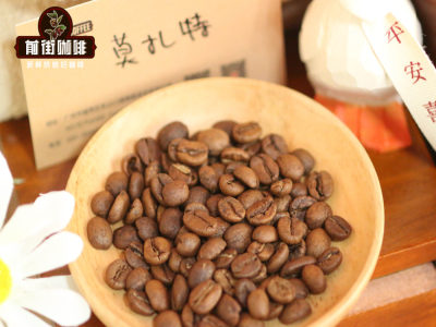 冰酿咖啡咖啡店做法｜自制好喝的冰滴咖啡难吗？适合冷萃冰滴用的优质单品咖啡豆有哪些推荐