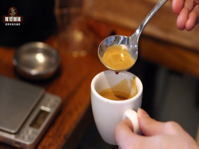 espresso味道特點｜義式濃縮的crema是咖啡油脂嗎？意式咖啡製作步驟有哪些？義式濃縮咖啡怎麼喝？