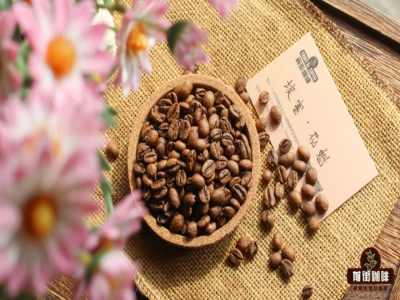 挂耳泡法｜挂耳黑咖啡怎么冲才好喝？挂耳咖啡冲泡比例水温时间多少合适？挂耳品种有哪些？