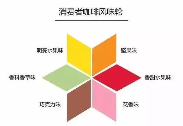 The Origin of the Coffee Flavor Wheel | What is the difference between the old and new coffee flavor wheels? What are the limitations of the SCAA coffee flavor wheel? How to describe coffee using a flavor wheel tasting?