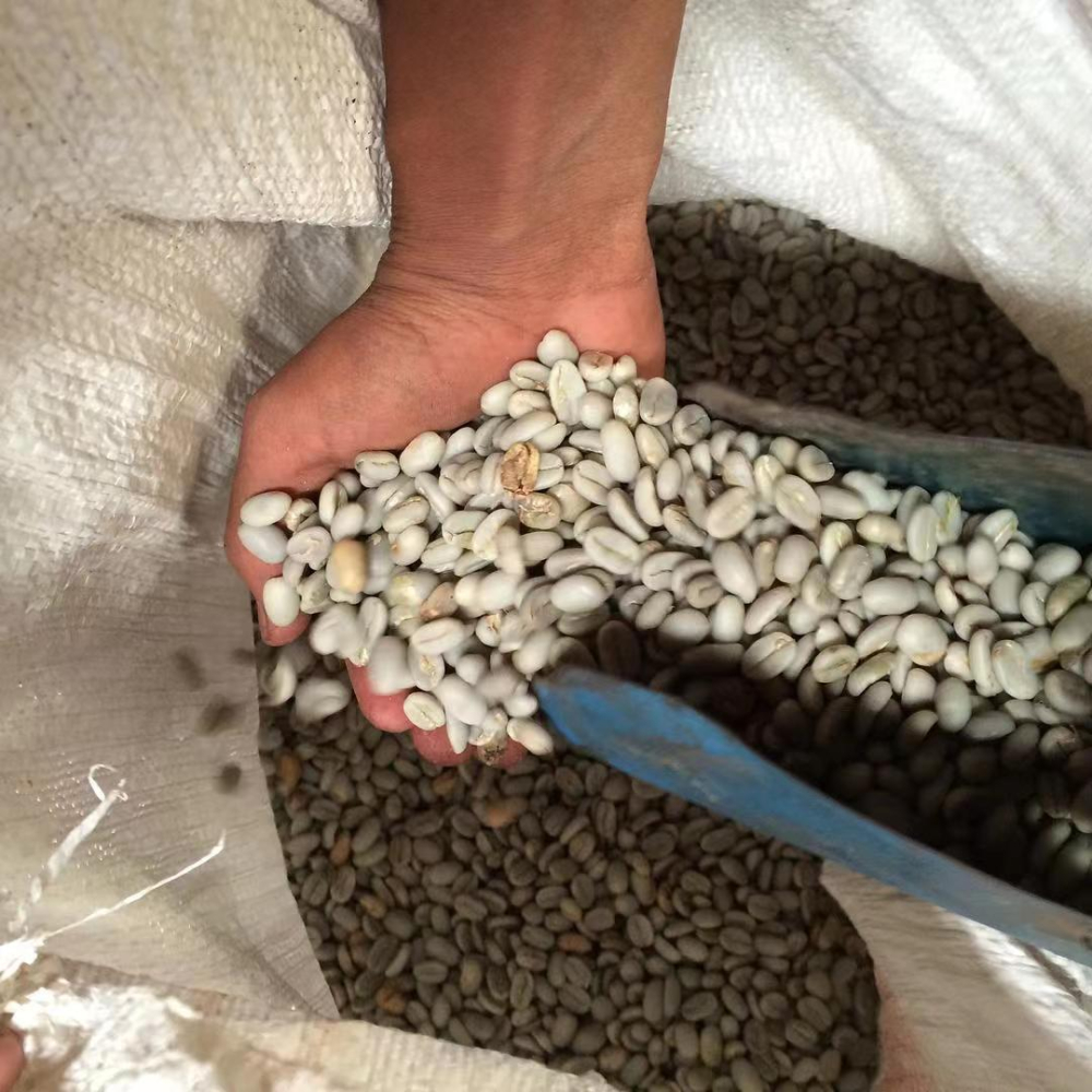 Recommended Indonesian coffee beans｜What varieties of Sumatra Mandheling coffee beans are there? What are the flavor characteristics of pwn Golden Mandheling?