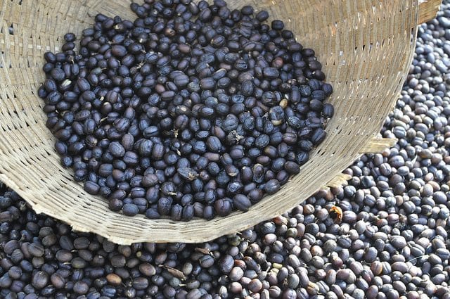 Sun-dried Yirgacheffe | What are the advantages and disadvantages of sun-drying Yirgacheffe coffee beans? What are the flavor characteristics of Ethiopian sun-dried coffee?