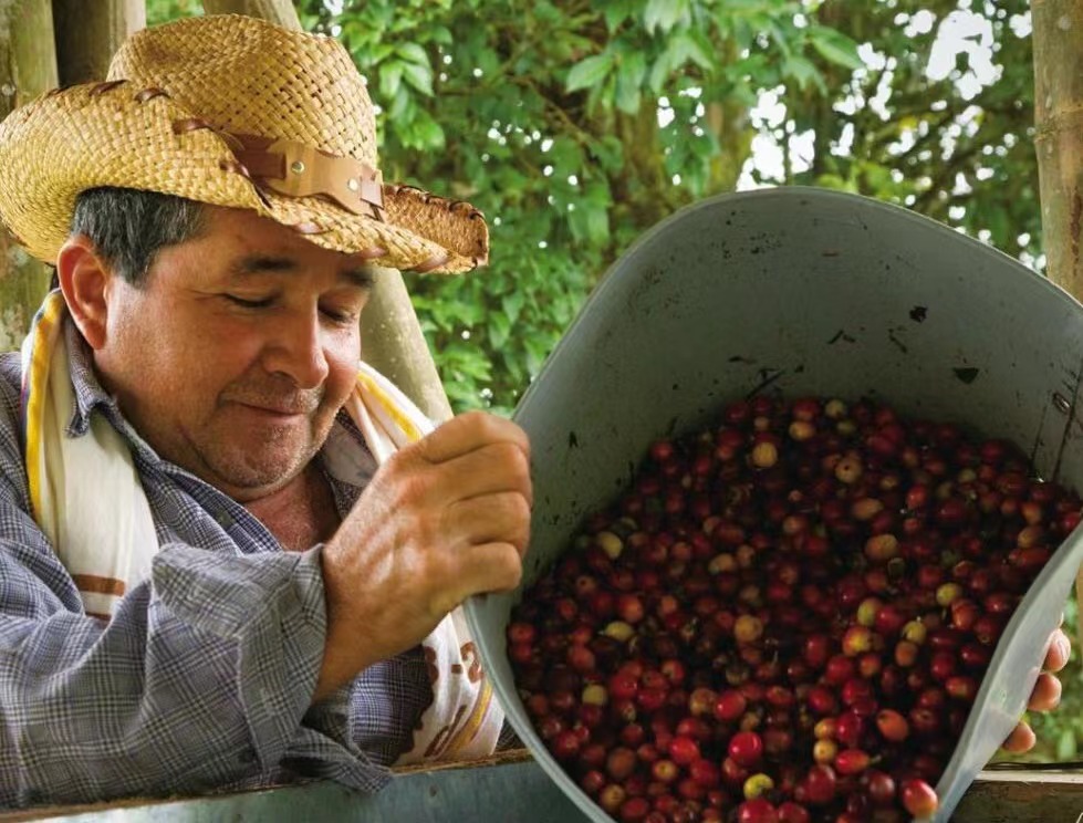 Colombian Coffee Producing Region | Is Colombian washed Whelan coffee suitable for hand-brewed coffee novices? What are the flavor characteristics of Colombian washed coffee?