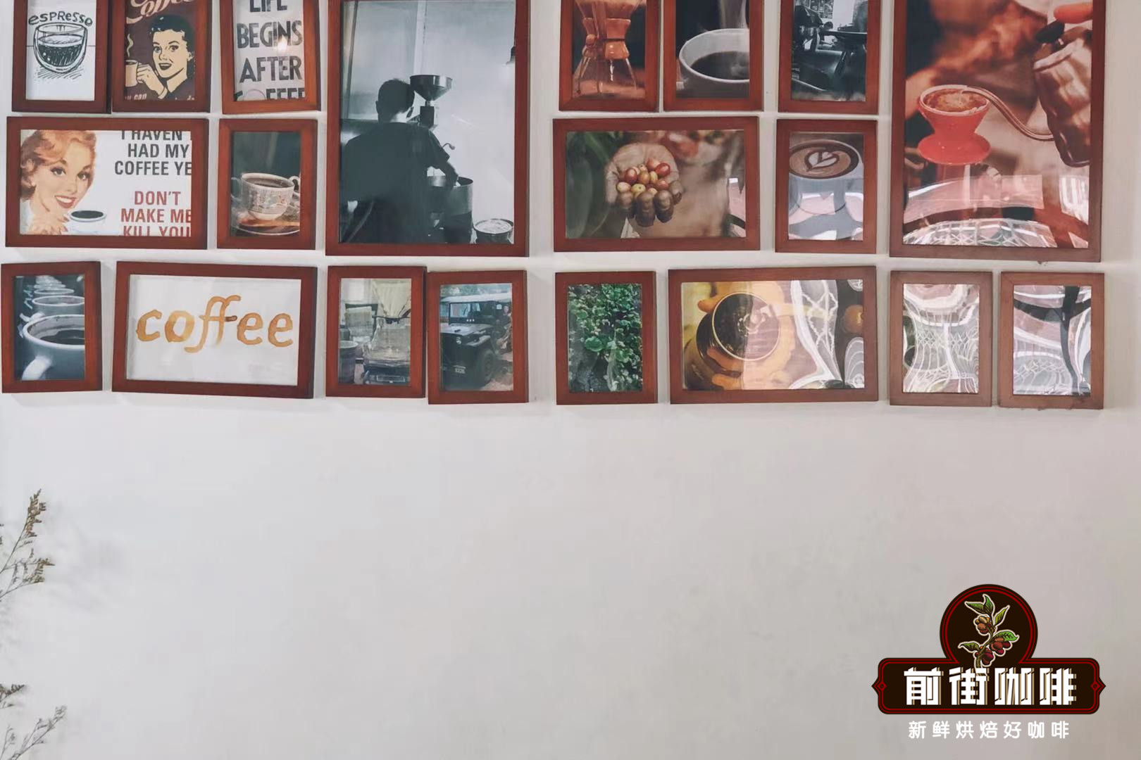 Recommended Top Ten Famous Coffee Brands in the World | How do coffee novices choose single-origin coffee beans that suit them? How to judge the freshness of coffee beans?