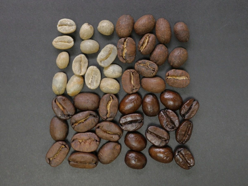1670400986e62482.jpg