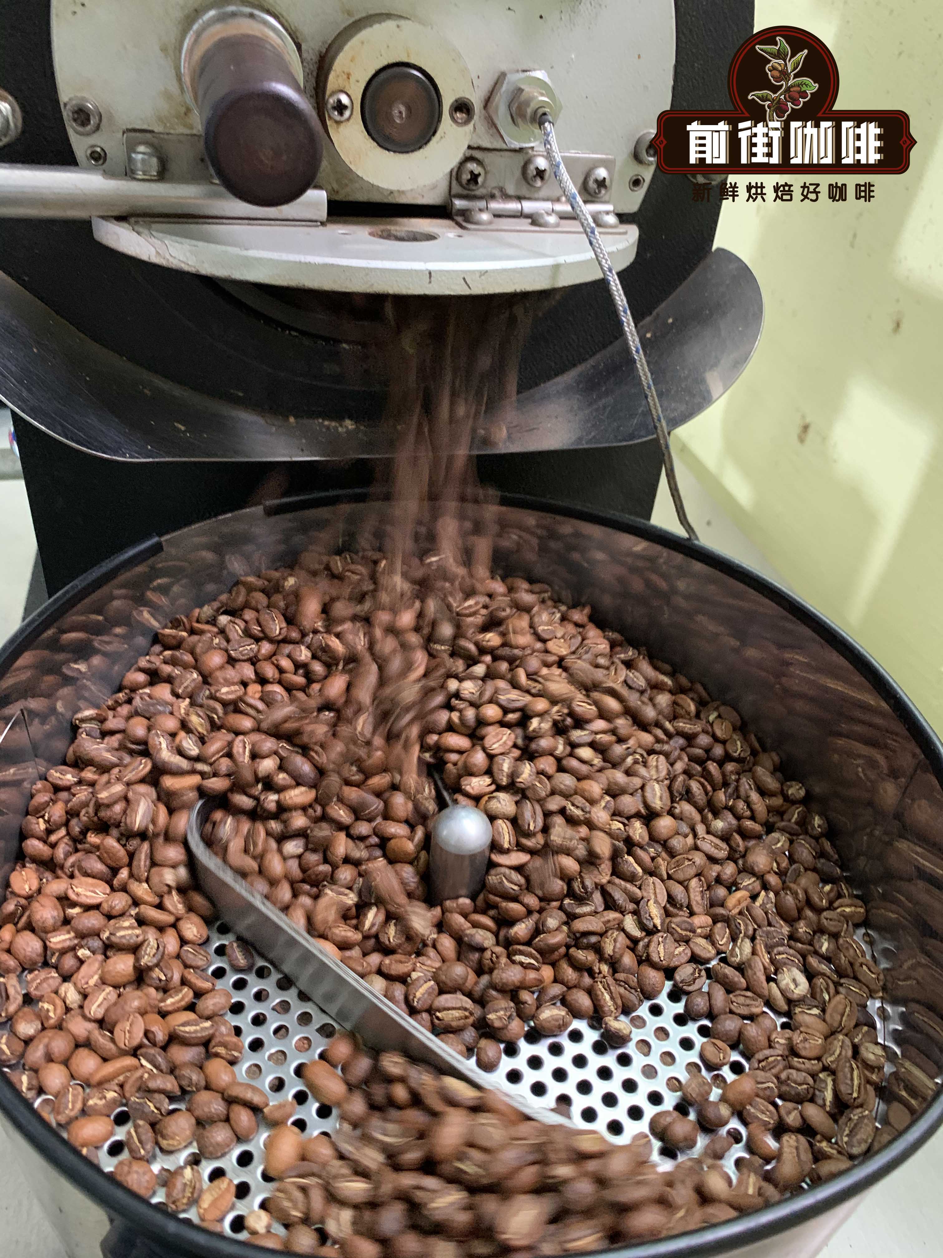 15-210210150445P8.jpg