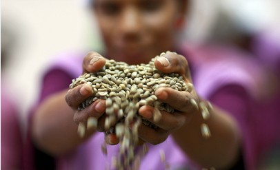 Green coffee bean storage | What is the packaging method for green coffee beans? Storage temperature and humidity of green coffee beans Introduction to storage period of green coffee beans