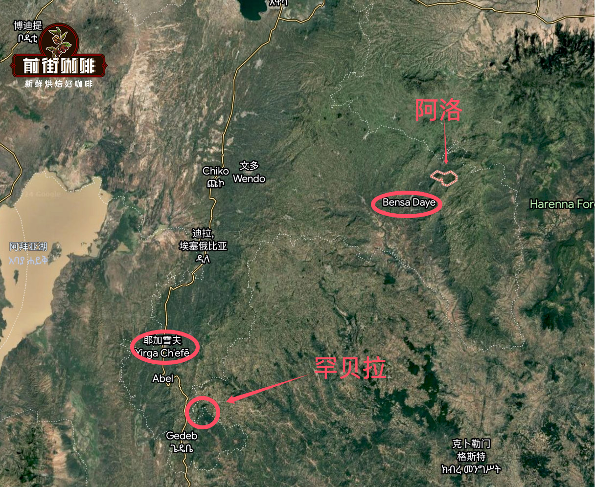 Sidamo Alo Village coffee beans alo coffee | Recommendation of flavor characteristics of coffee beans from Alo Village, Sidamo Bansha producing area in Ethiopia