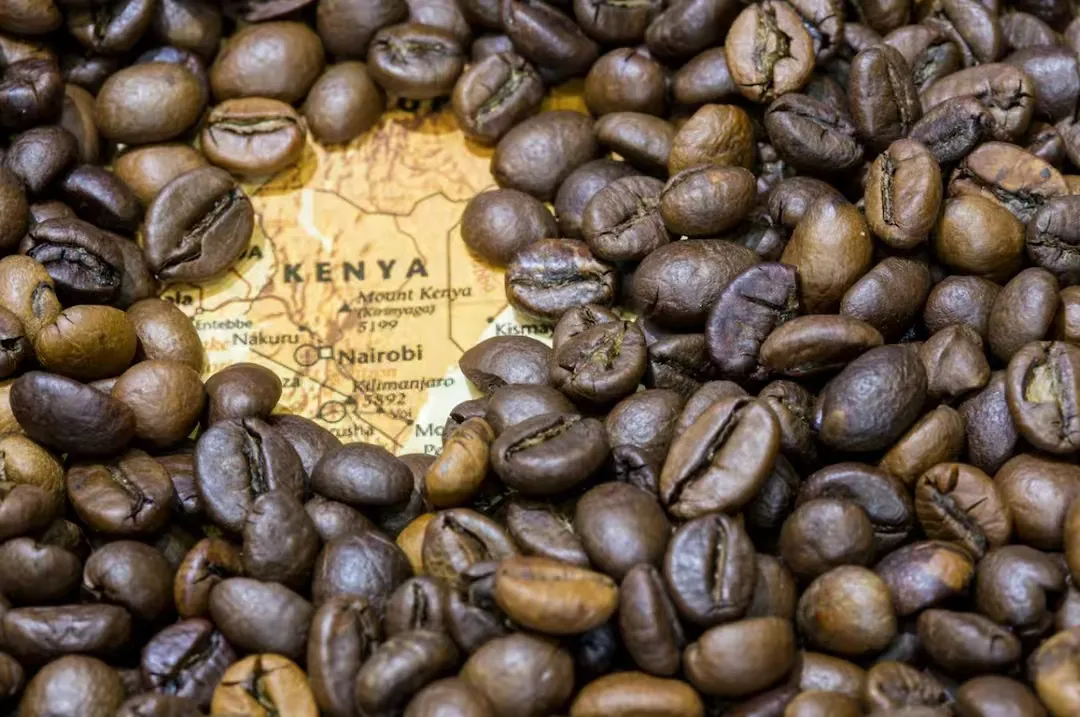 Coffee bean names and meanings | How to name green coffee beans? Which coffee producing areas does Yirgacheffe Bourbon Gesha Mandheling come from?