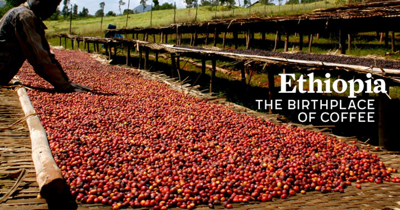 Introduction to Esseye Gacheffe: How to drink flower acid single product